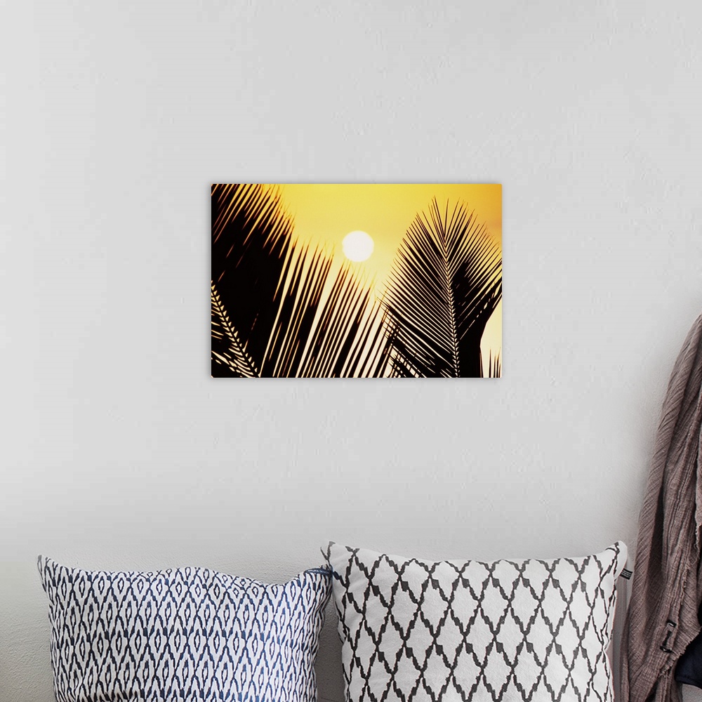 A bohemian room featuring Pale Yellow Sun Behind Palm Fronds