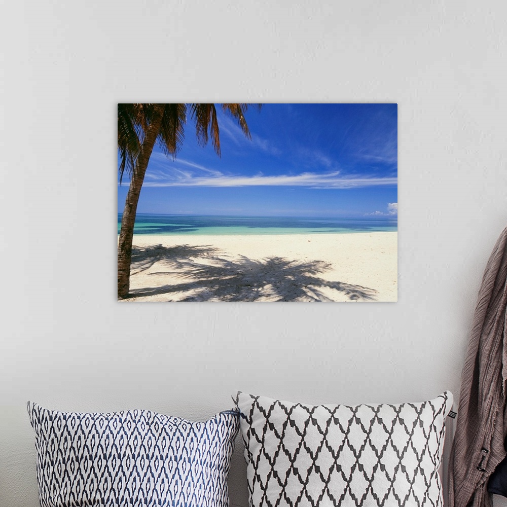 A bohemian room featuring Palm Tree On Tropical Beach, Playa Ancon