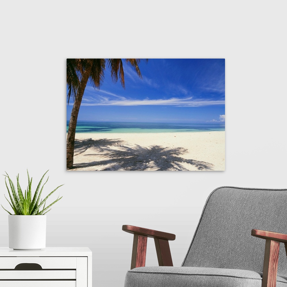 A modern room featuring Palm Tree On Tropical Beach, Playa Ancon