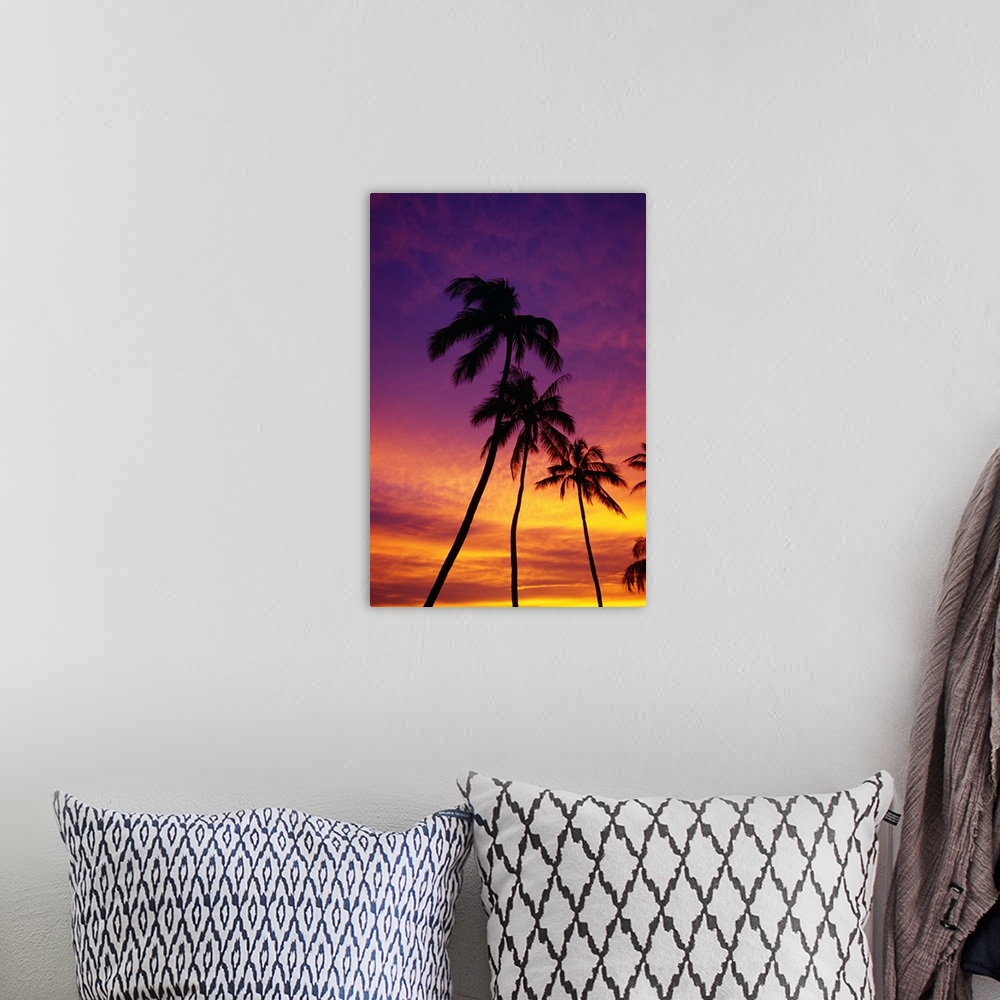 A bohemian room featuring Palm Tree Silhouettes, Sunset, Waikiki Beach, Hawaii, Usa
