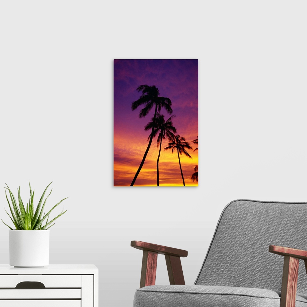 A modern room featuring Palm Tree Silhouettes, Sunset, Waikiki Beach, Hawaii, Usa