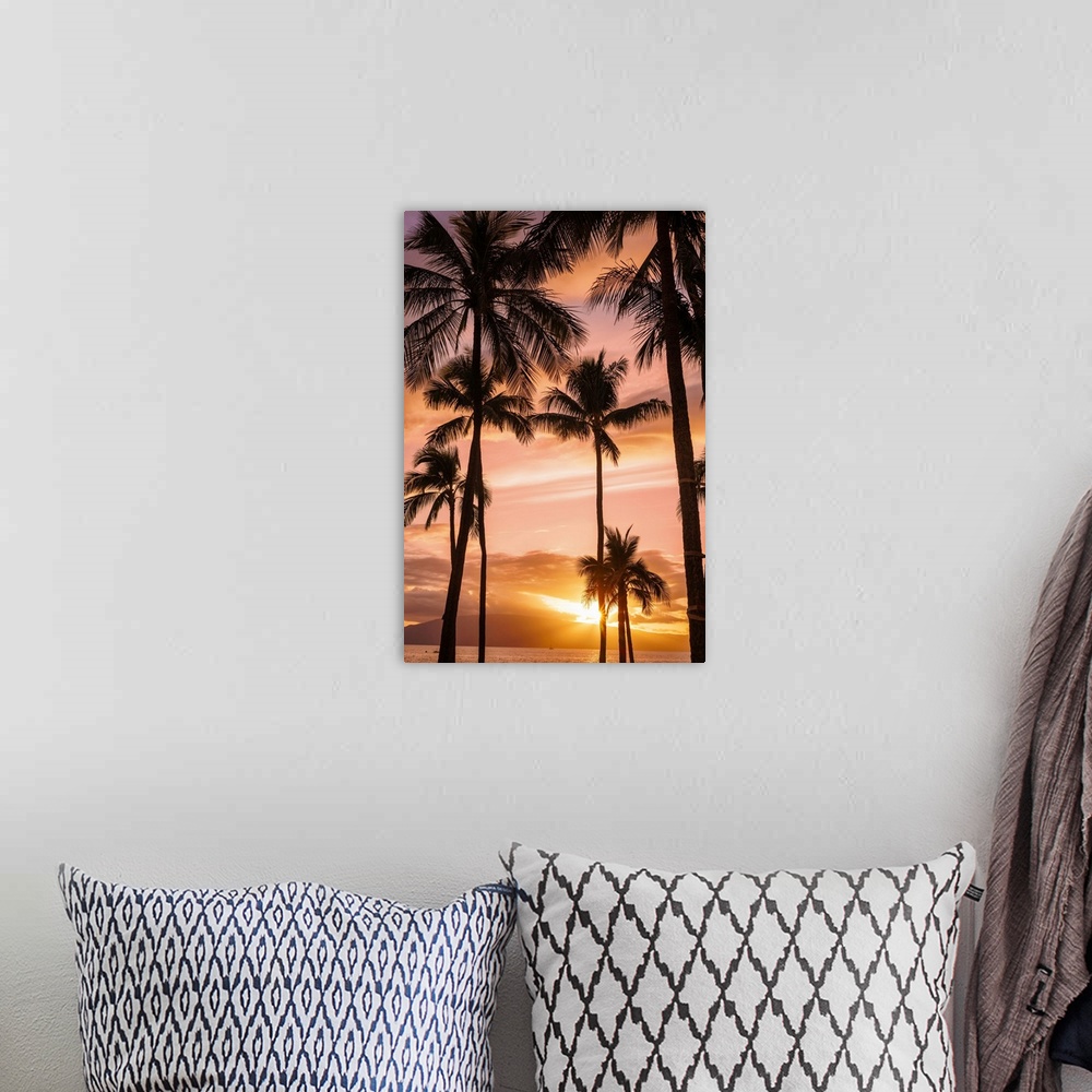 A bohemian room featuring Palm trees at sunset; Maui, Hawaii, united states of America.