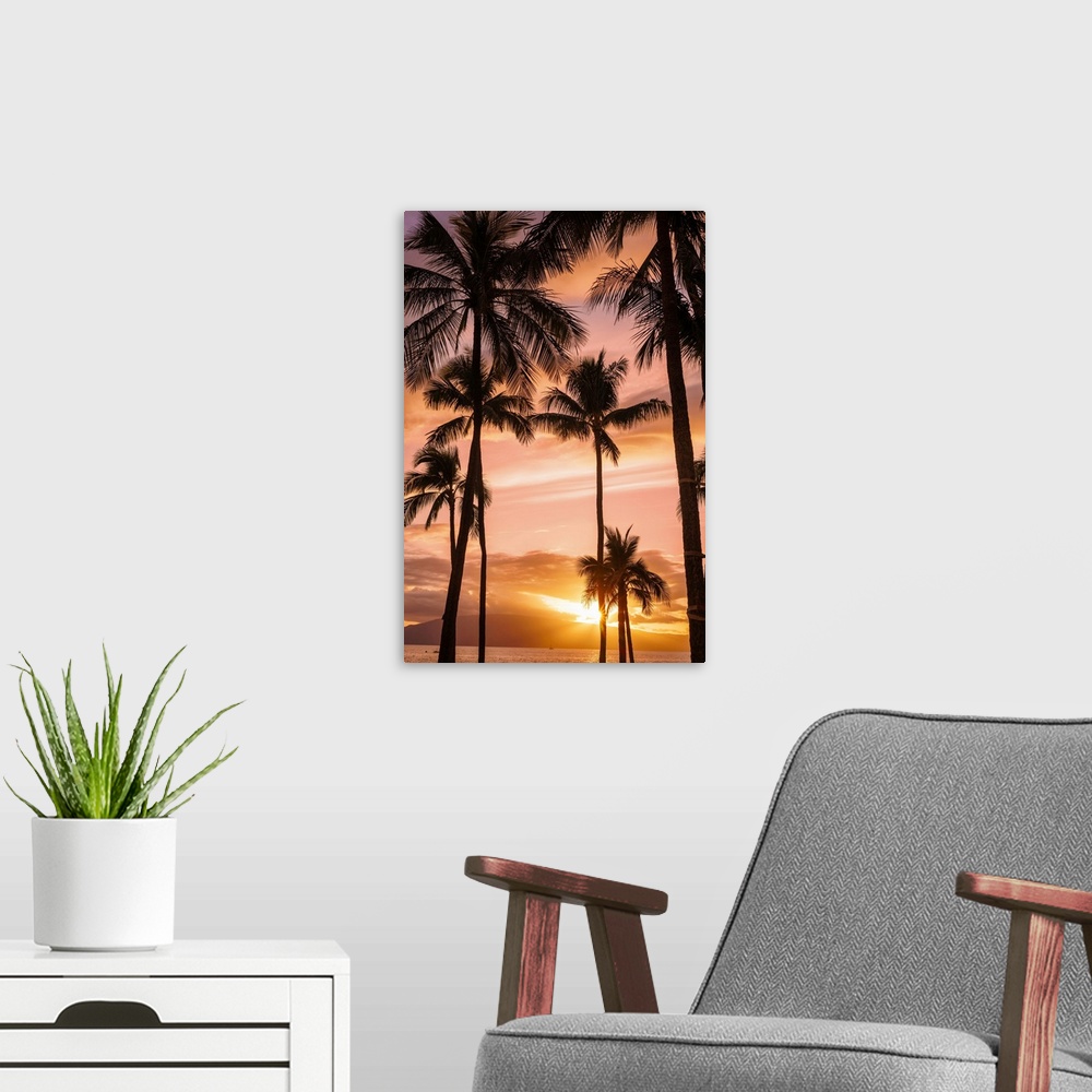 A modern room featuring Palm trees at sunset; Maui, Hawaii, united states of America.