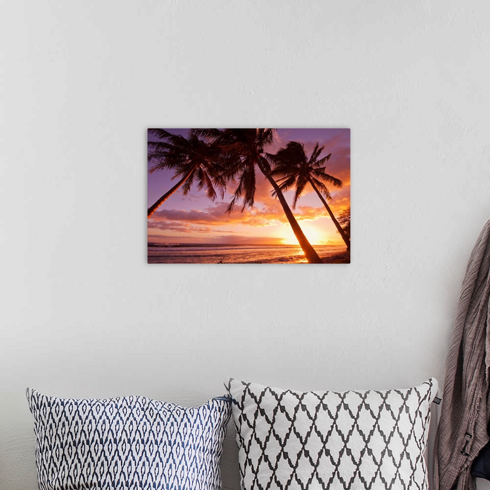 A bohemian room featuring Palm trees at sunset, Olowalu, Maui, Hawaii, United States of America
