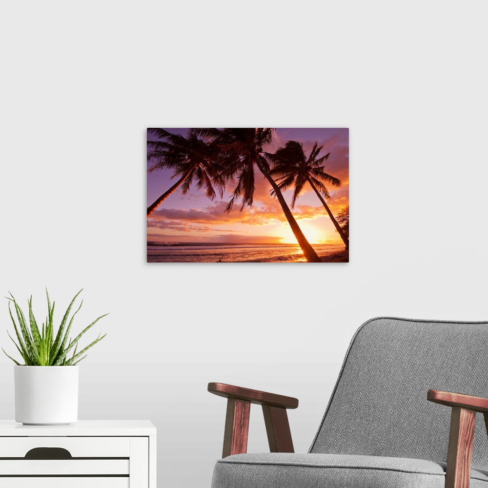 A modern room featuring Palm trees at sunset, Olowalu, Maui, Hawaii, United States of America