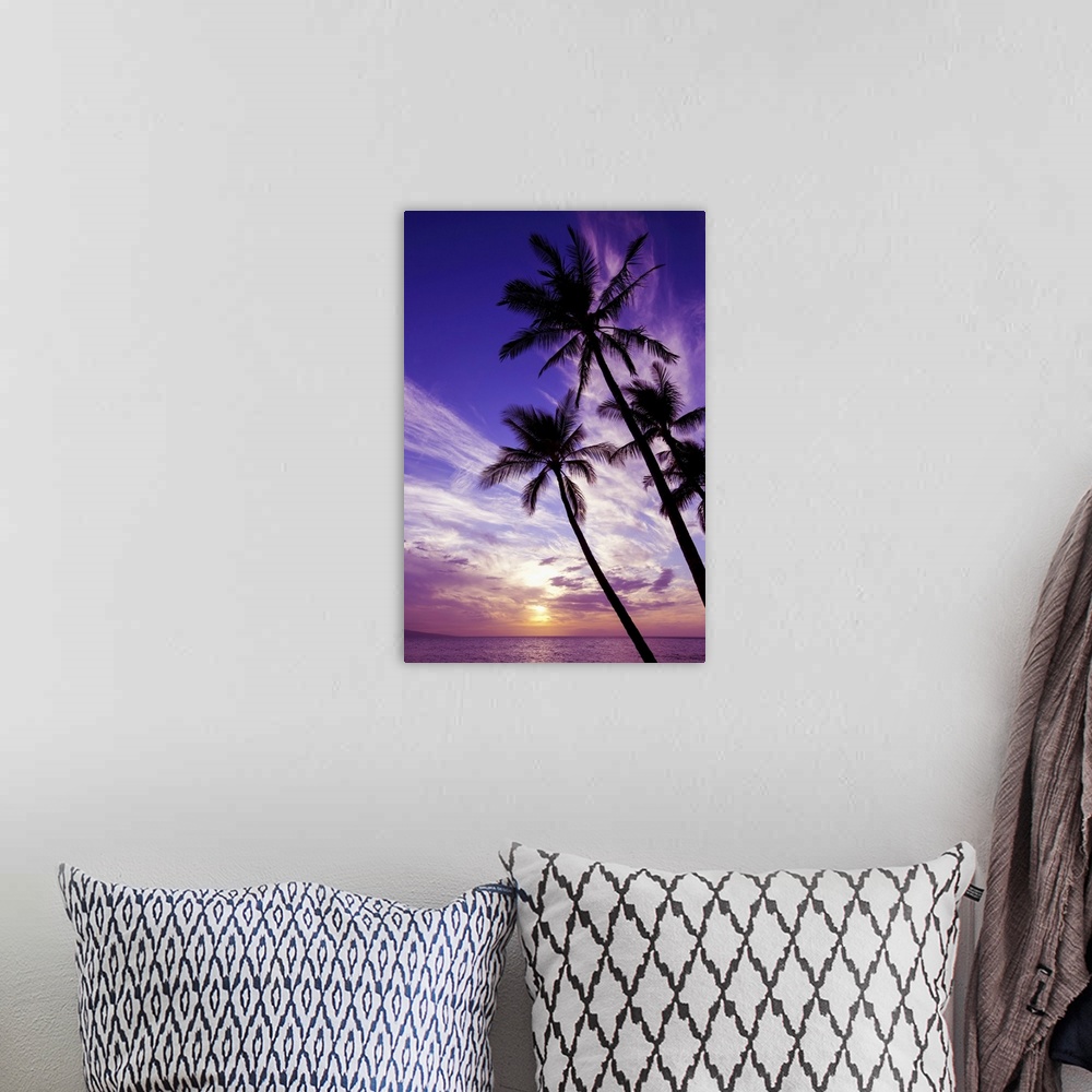 A bohemian room featuring Palm trees at sunset, Wailea, Maui, Hawaii, united states of America.