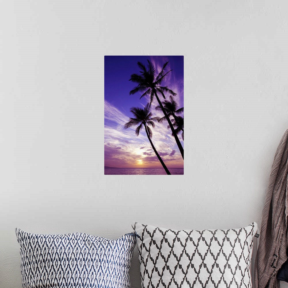A bohemian room featuring Palm trees at sunset, Wailea, Maui, Hawaii, united states of America.
