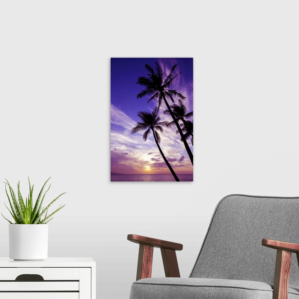 A modern room featuring Palm trees at sunset, Wailea, Maui, Hawaii, united states of America.