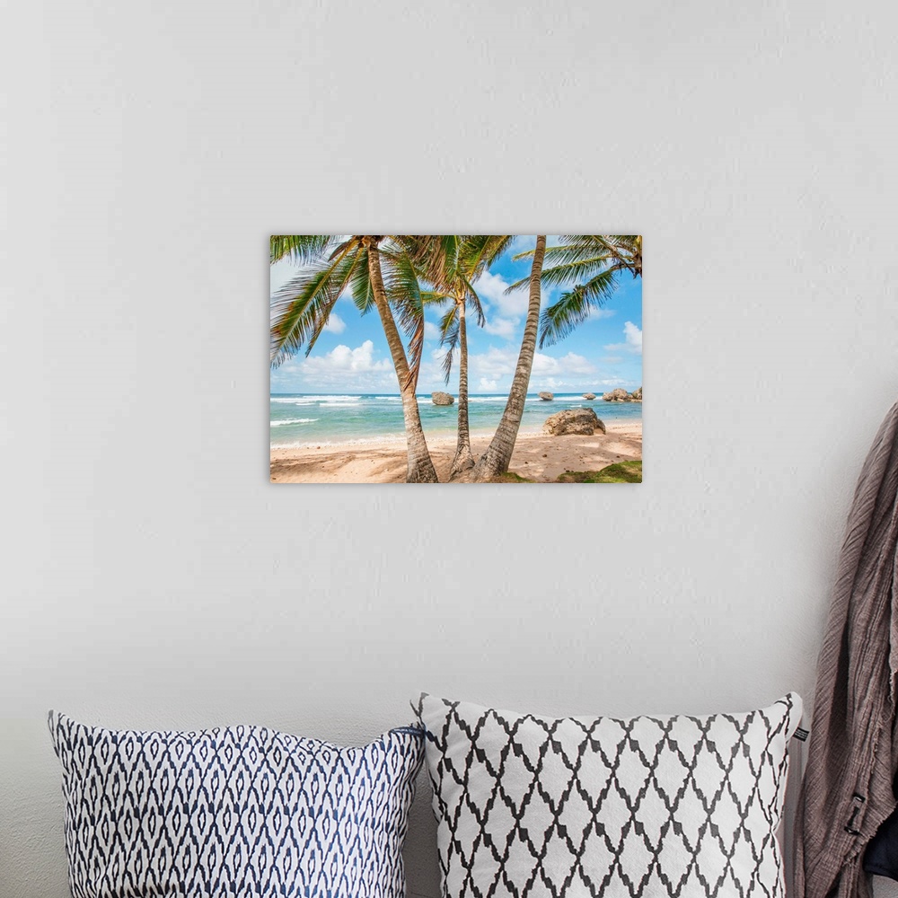 A bohemian room featuring Palm trees line a beach in Barbados; Bathsheba, Barbados