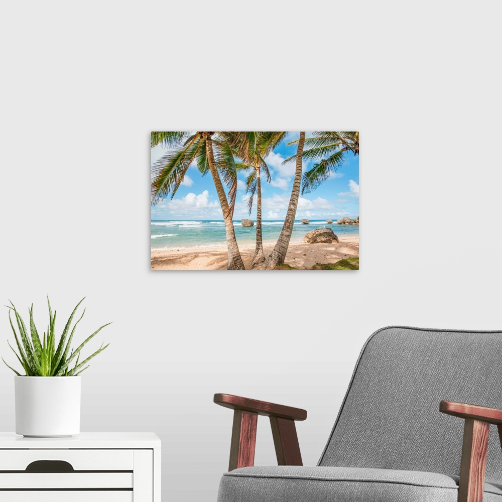 A modern room featuring Palm trees line a beach in Barbados; Bathsheba, Barbados