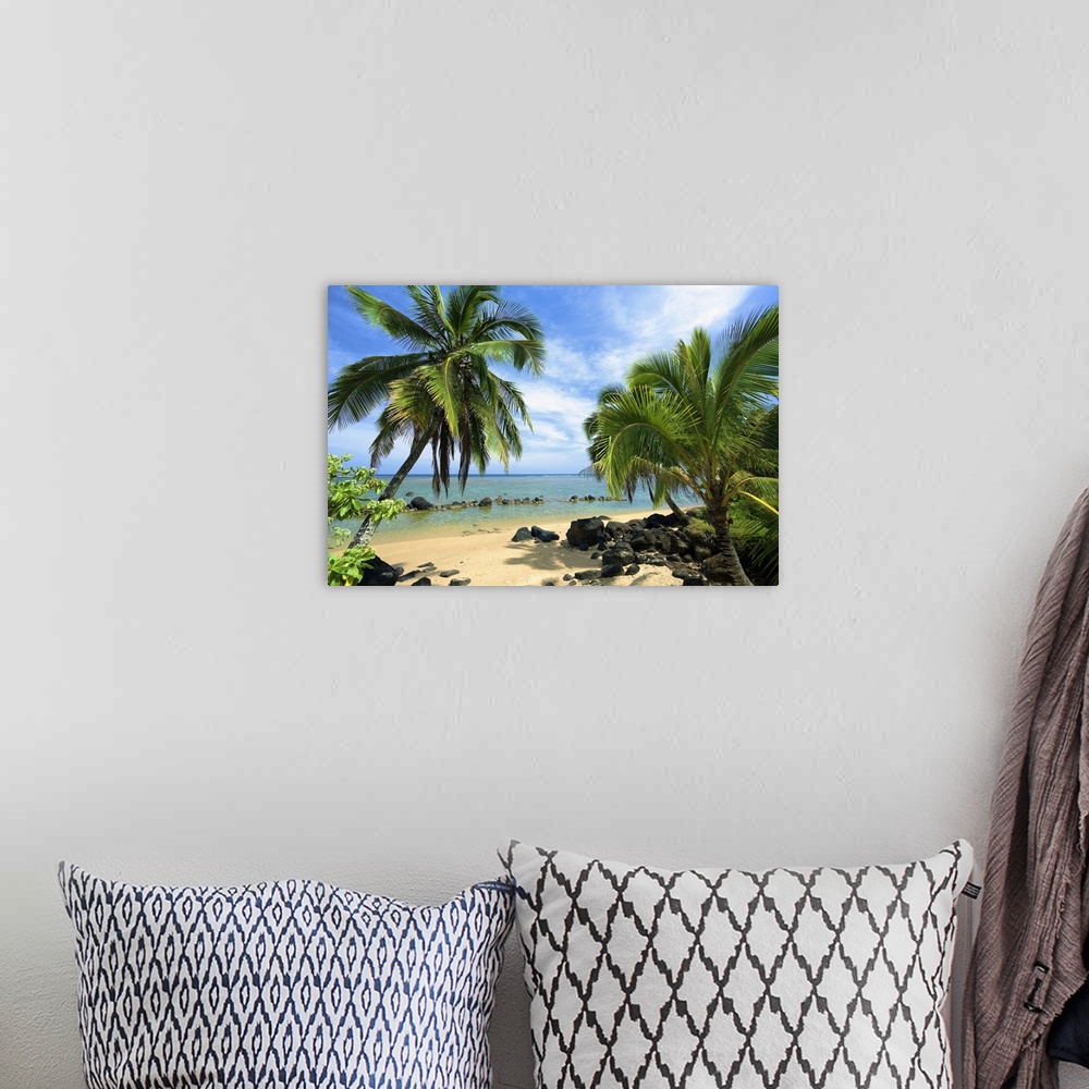 A bohemian room featuring Palm Trees On Anini Beach; Kauai, Hawaii, United States Of America
