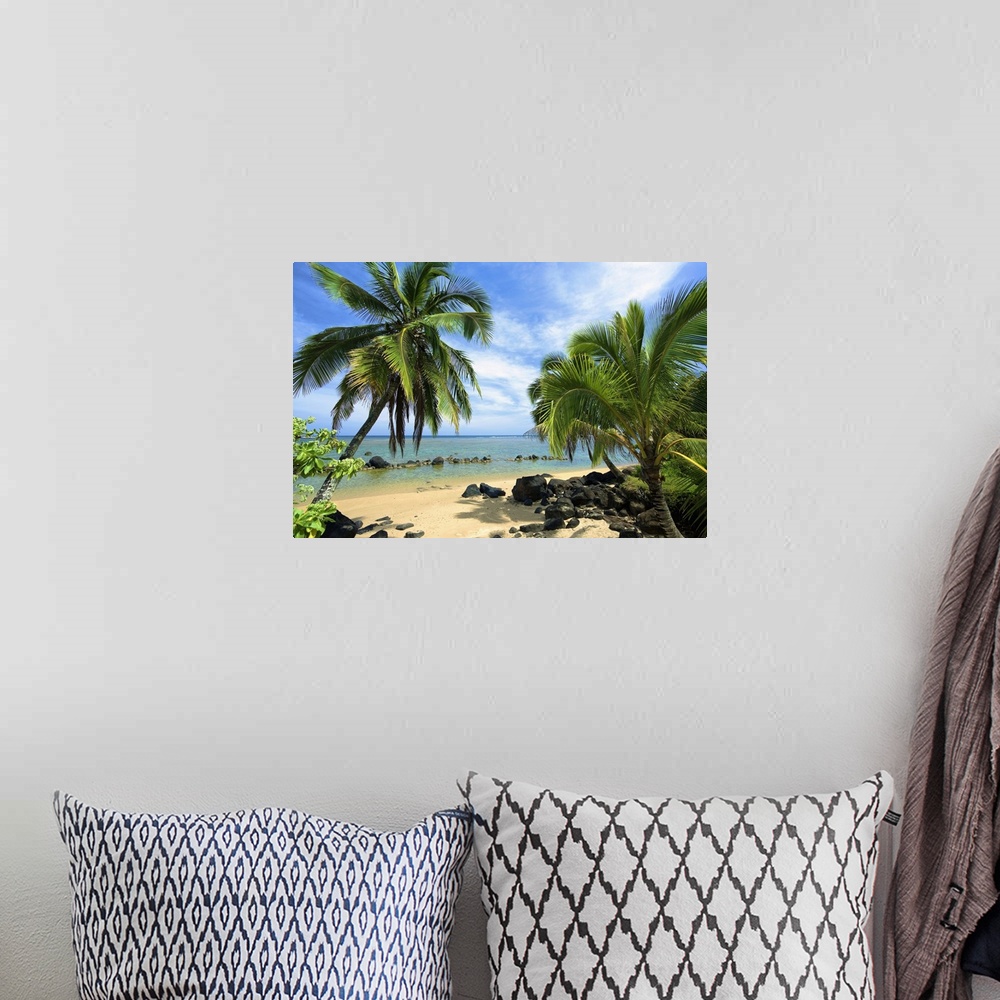 A bohemian room featuring Palm Trees On Anini Beach; Kauai, Hawaii, United States Of America