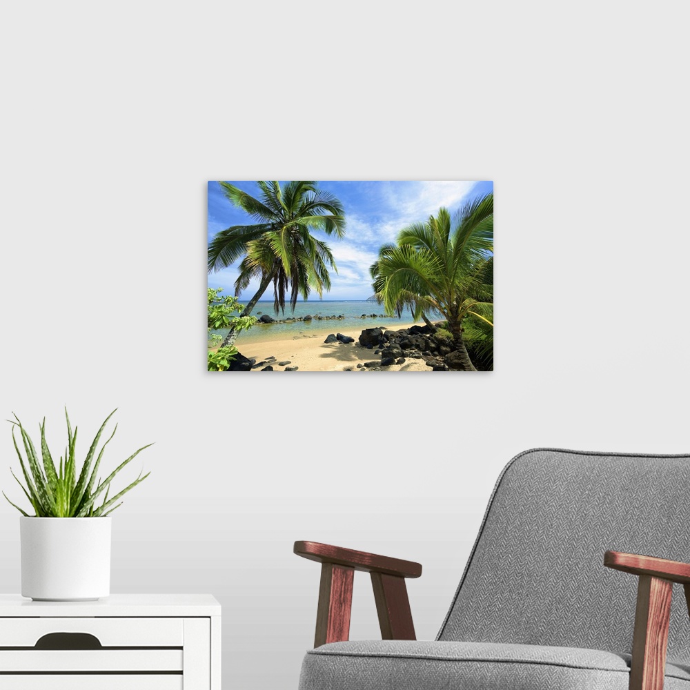 A modern room featuring Palm Trees On Anini Beach; Kauai, Hawaii, United States Of America
