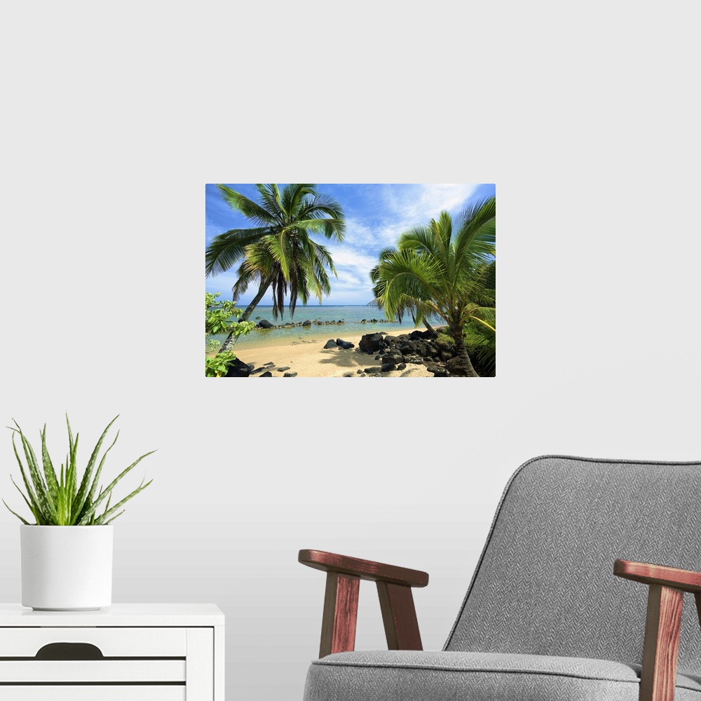 A modern room featuring Palm Trees On Anini Beach; Kauai, Hawaii, United States Of America