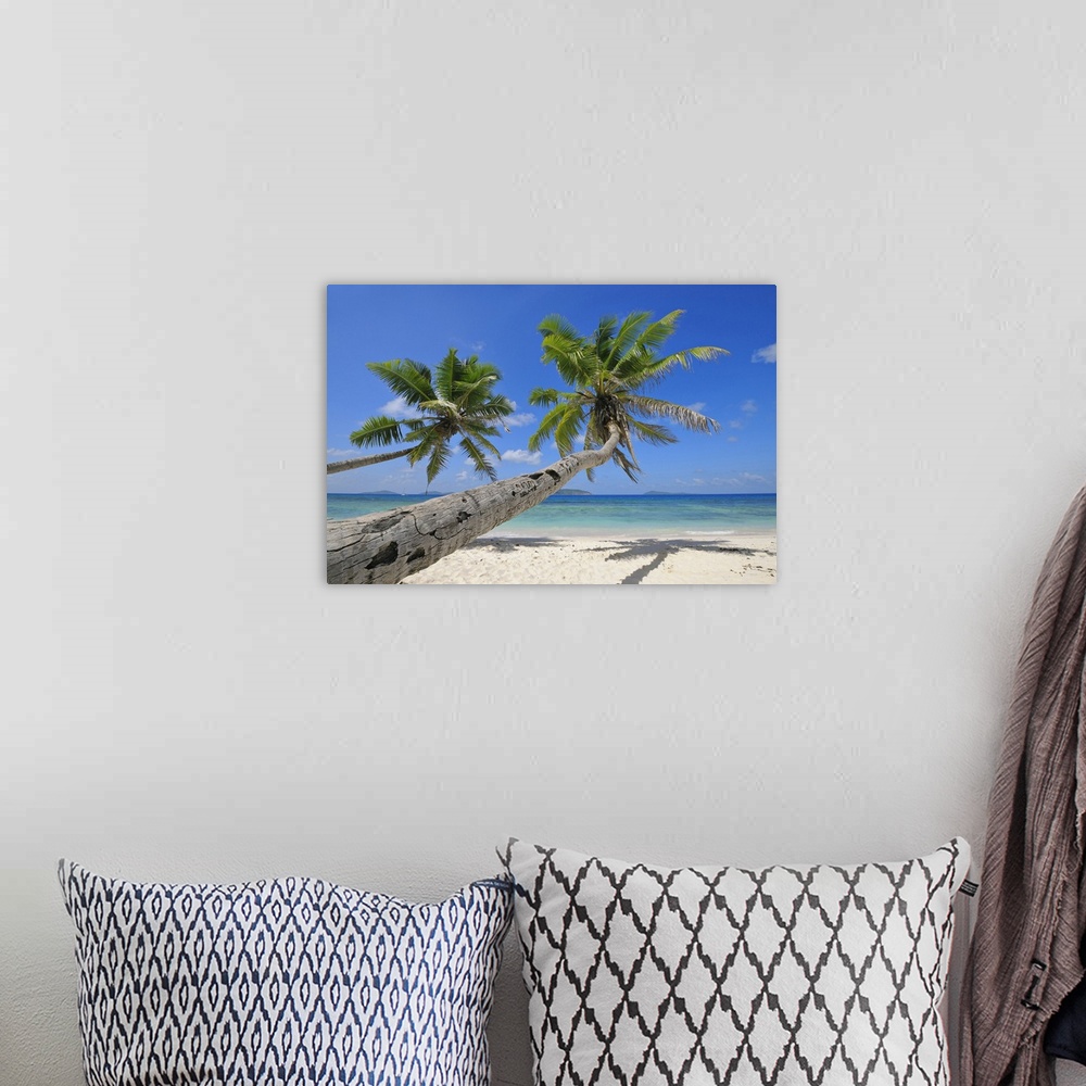 A bohemian room featuring Palm Trees on Beach with Indian Ocean, La Digue, Seychelles
