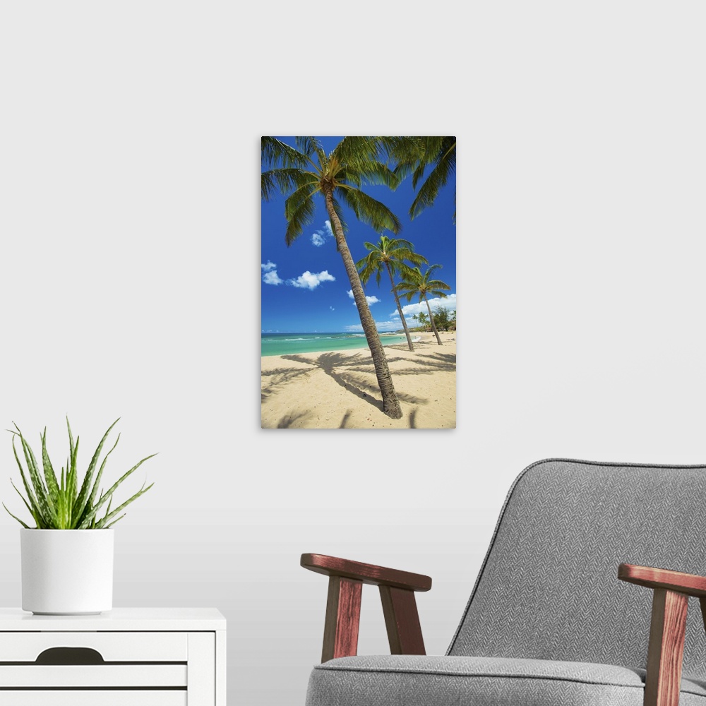 A modern room featuring Palm Trees On The Beach In Salt Ponds State Park; Kauai, Hawaii, United States Of America