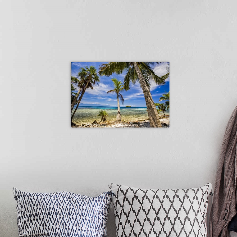 A bohemian room featuring Palm Trees On The Beach Overlooking The Turquoise Caribbean Sea, Honduras