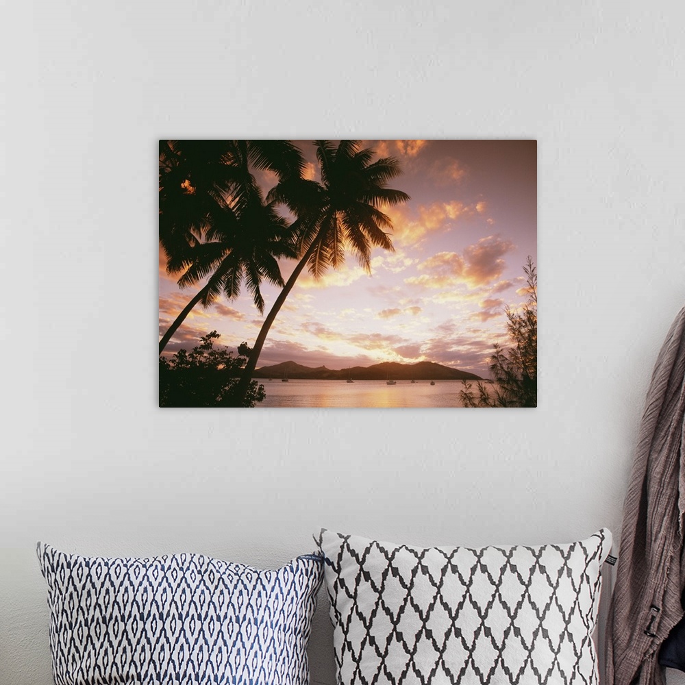 A bohemian room featuring Palm Trees On Tropical Beach At Sunset, Nanuya Lai Lai, Fiji