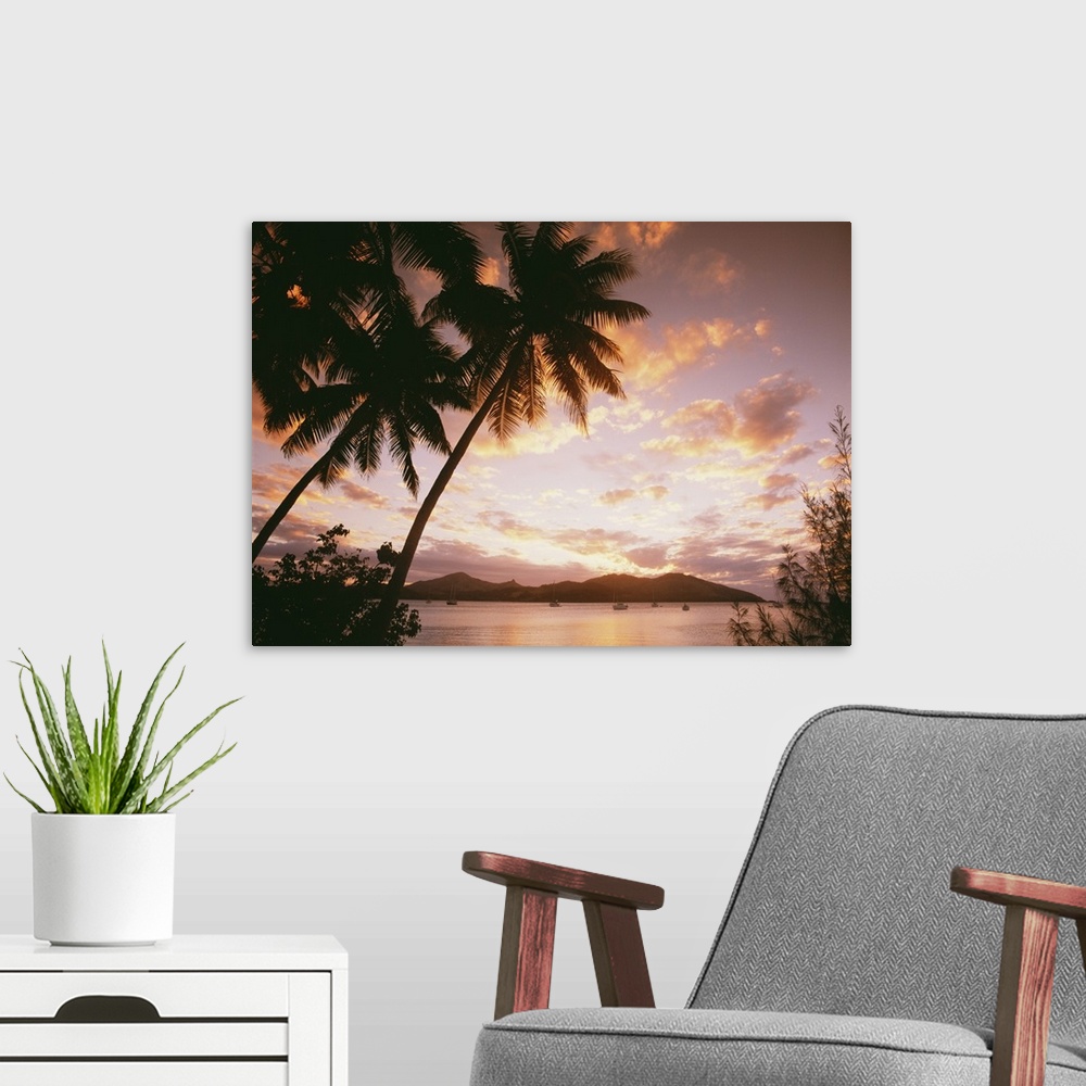 A modern room featuring Palm Trees On Tropical Beach At Sunset, Nanuya Lai Lai, Fiji