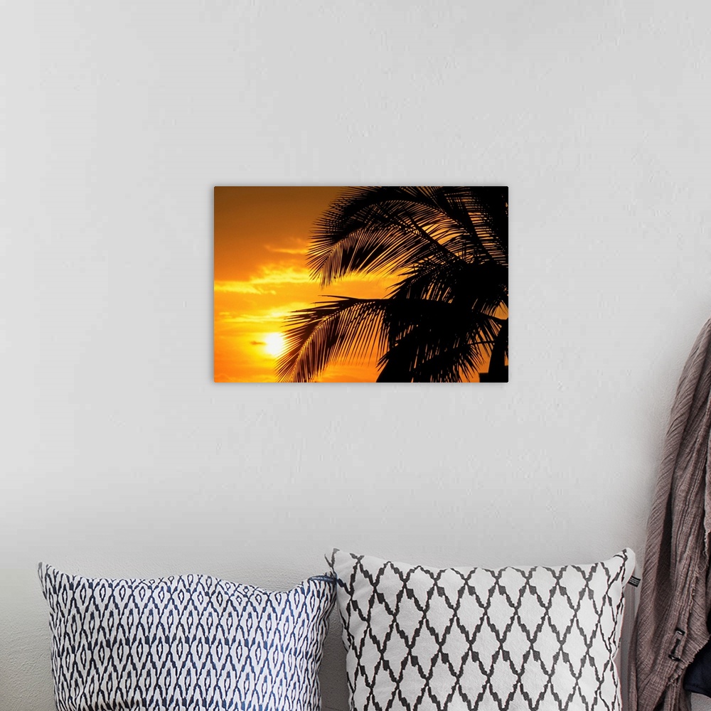 A bohemian room featuring Palm Trees Silhouette With Sunset, Orange Sky And Clouds In Background