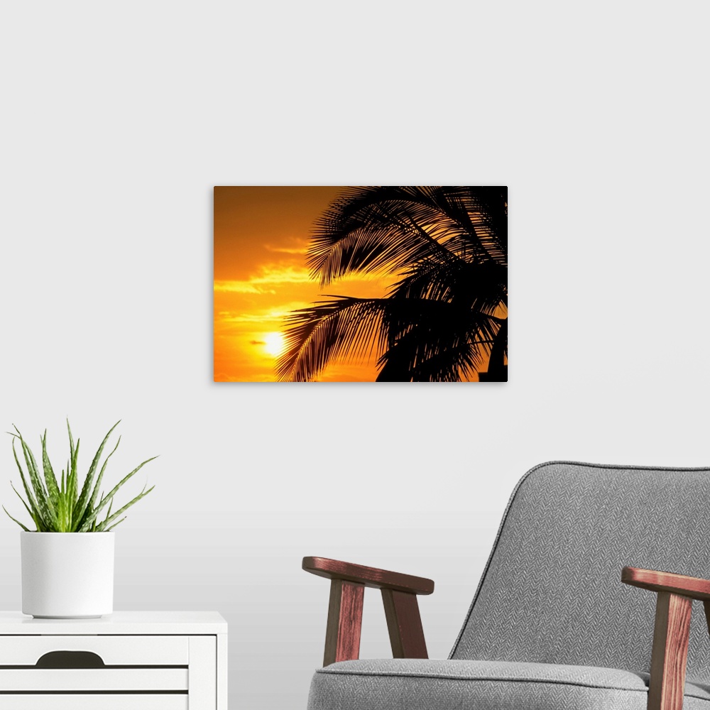 A modern room featuring Palm Trees Silhouette With Sunset, Orange Sky And Clouds In Background