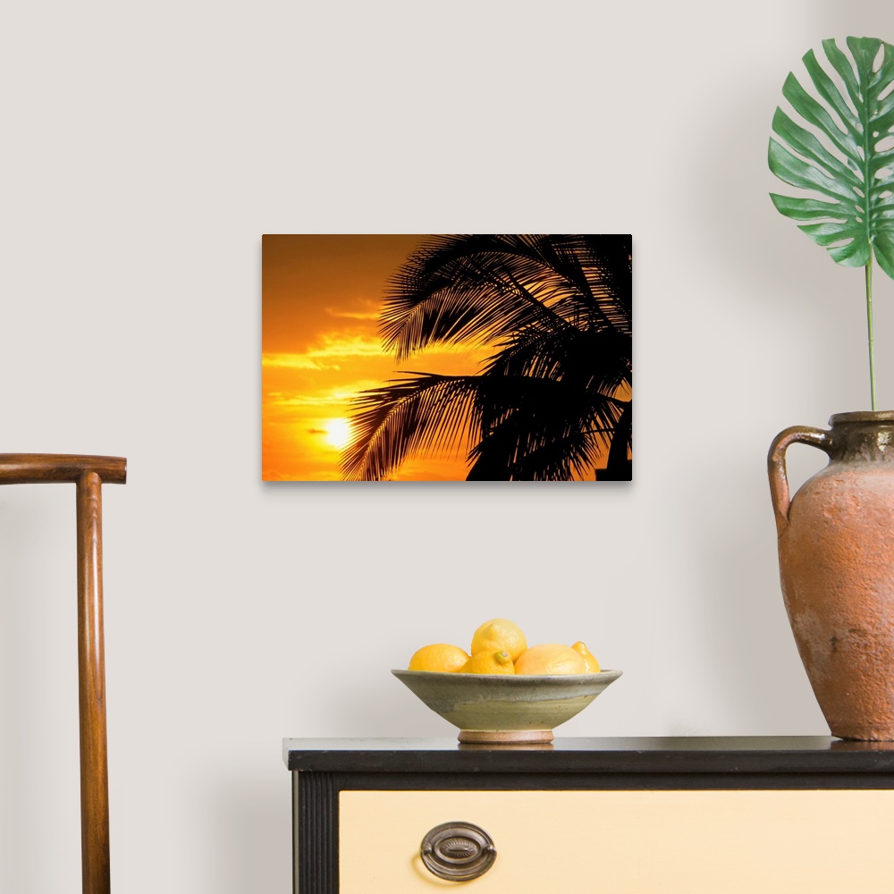 A traditional room featuring Palm Trees Silhouette With Sunset, Orange Sky And Clouds In Background