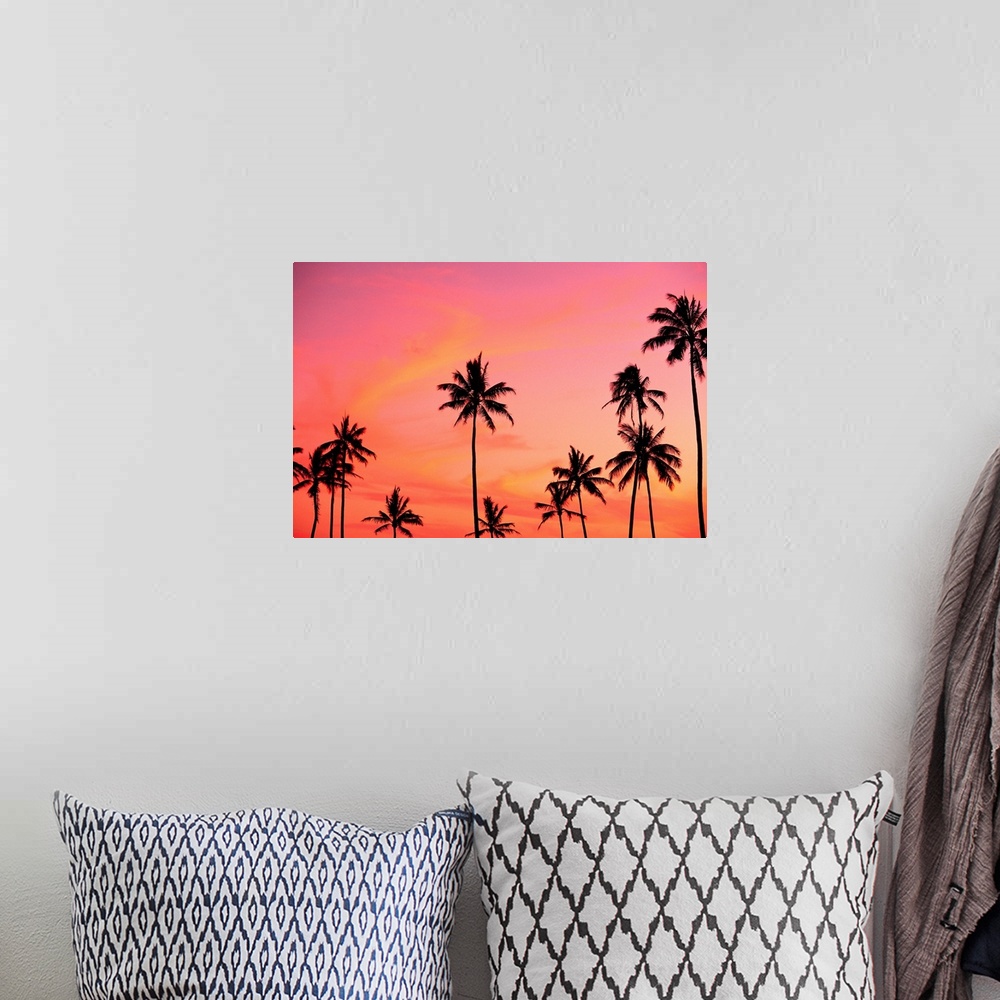 A bohemian room featuring Palm Trees Silhouetted Against Hazy Orange Skies