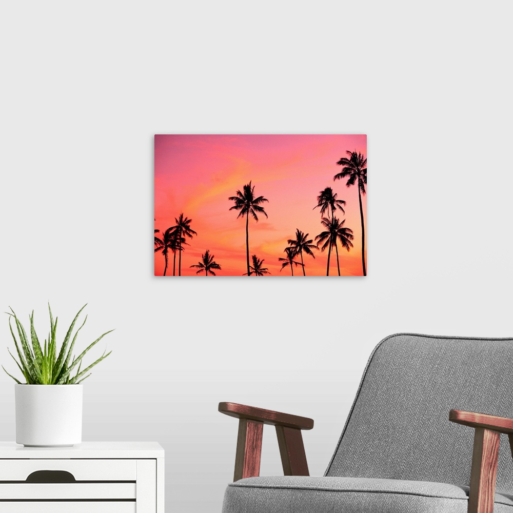 A modern room featuring Palm Trees Silhouetted Against Hazy Orange Skies