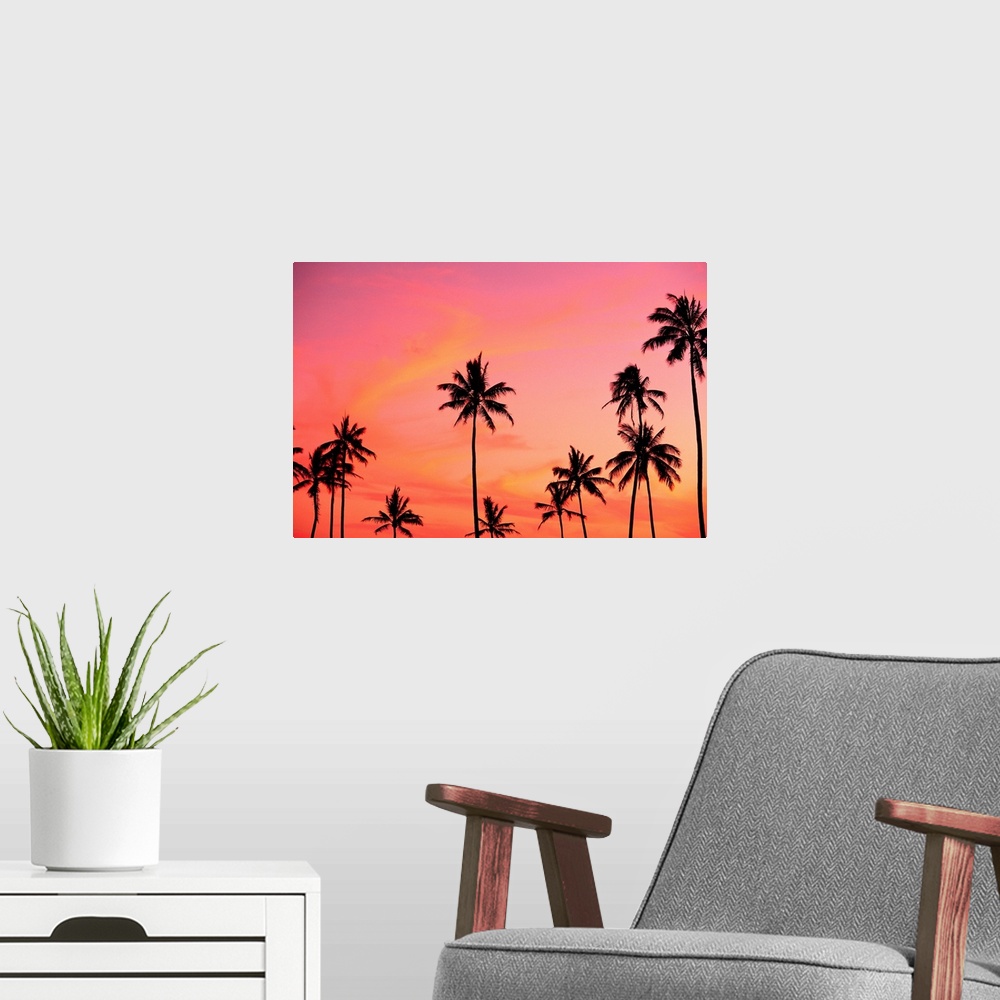 A modern room featuring Palm Trees Silhouetted Against Hazy Orange Skies