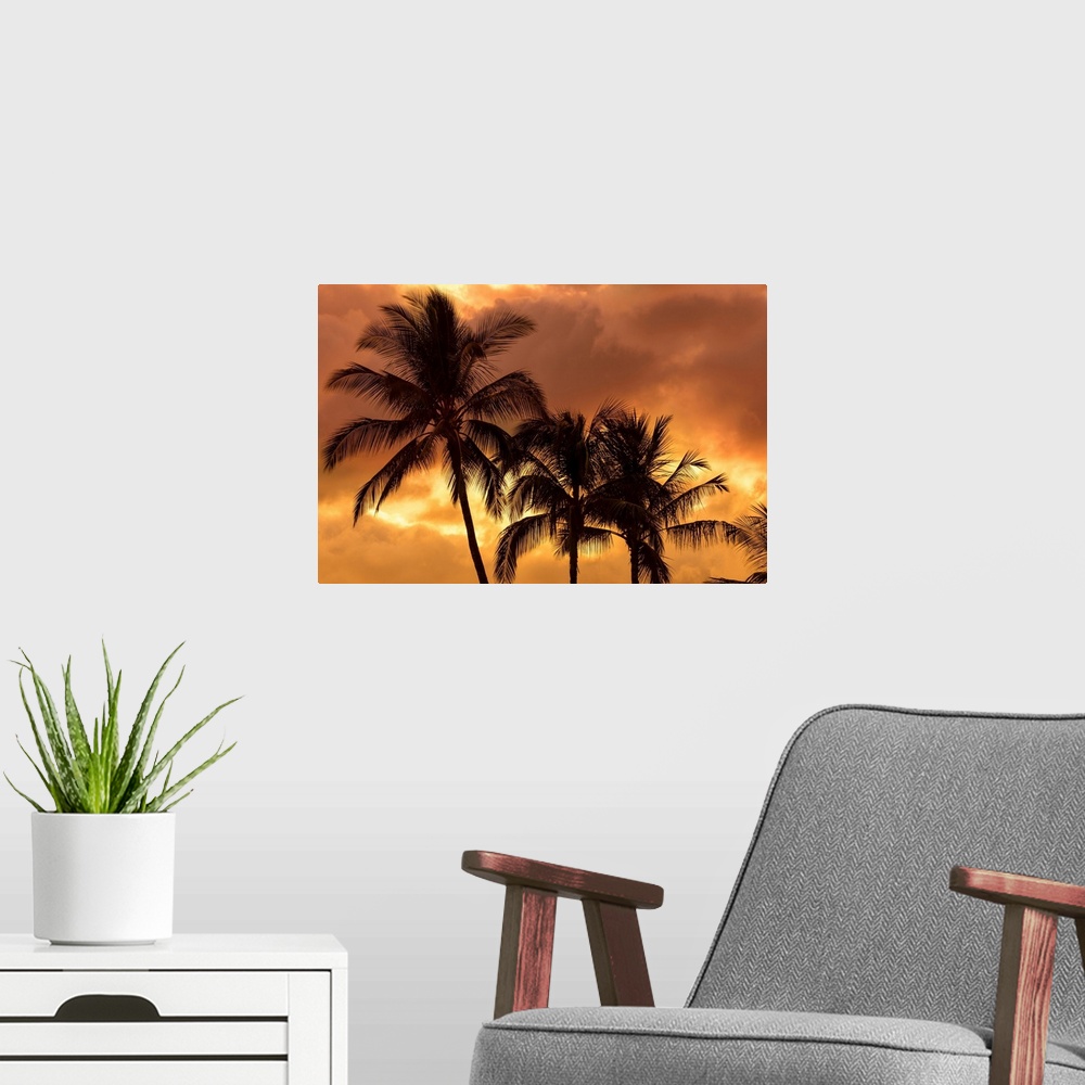 A modern room featuring Palm trees silhouetted in an orange sky; Wailea, Maui, Hawaii, United States of America