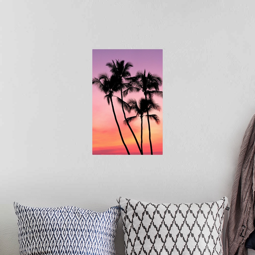 A bohemian room featuring Palm Trees Silhouetted In Sunset Sky