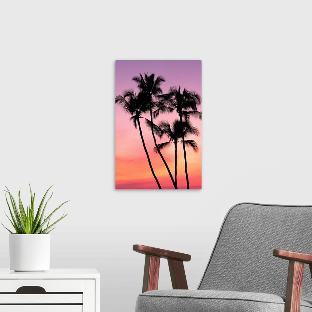 A modern room featuring Palm Trees Silhouetted In Sunset Sky