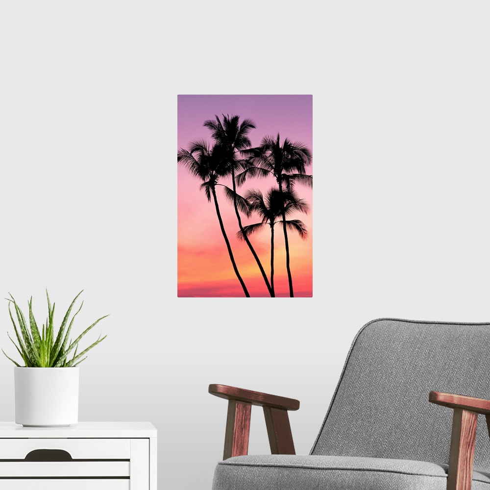 A modern room featuring Palm Trees Silhouetted In Sunset Sky