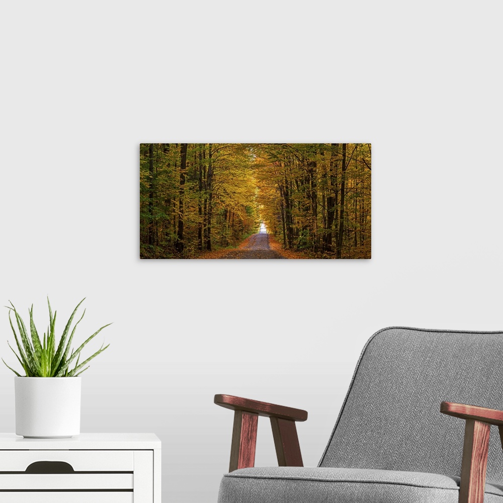 A modern room featuring Panorama of country road in autumn, Iron Hill, Quebec, Canada.