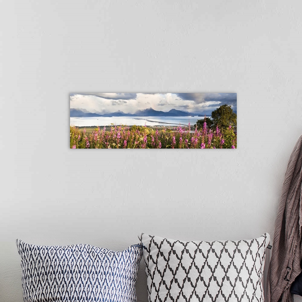 A bohemian room featuring Panorama Of Fireweed (Chamaenerion Angustifolium) Blossoming In The Foreground With Homer Spit, K...
