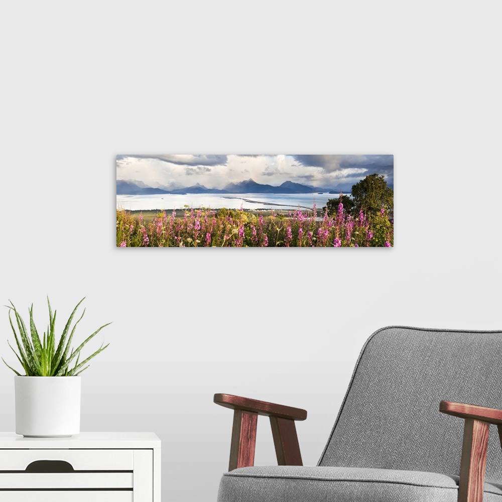 A modern room featuring Panorama Of Fireweed (Chamaenerion Angustifolium) Blossoming In The Foreground With Homer Spit, K...