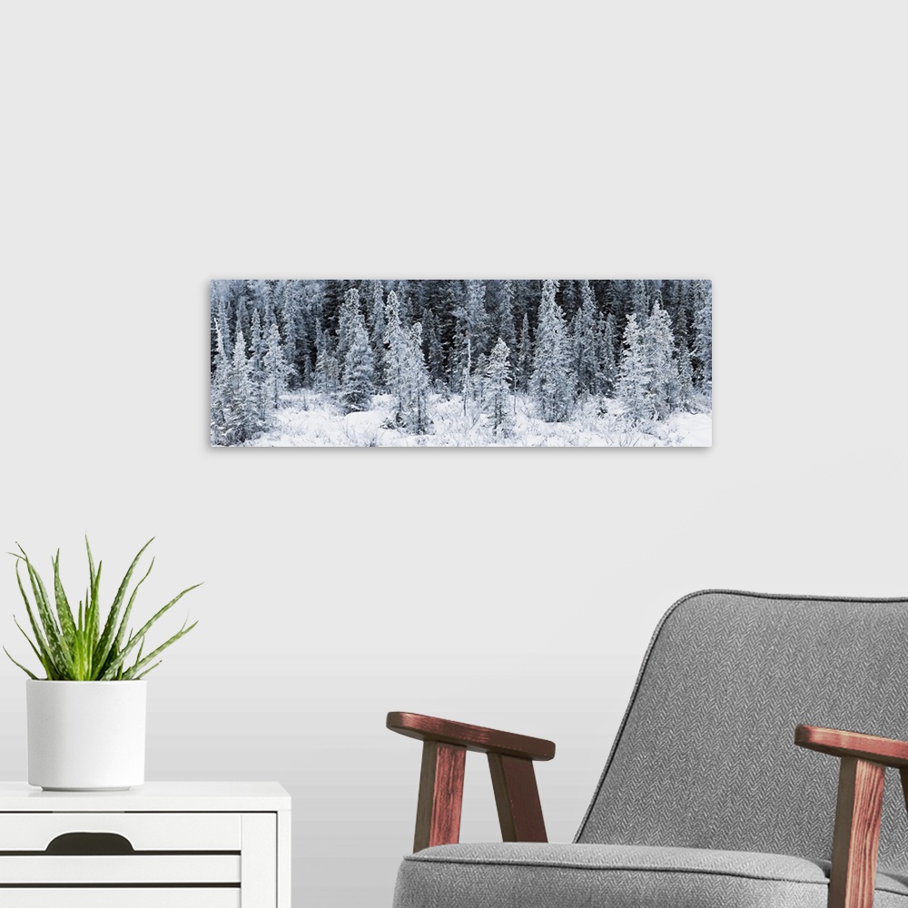 A modern room featuring Giant landscape photograph of a line of spruce trees covered in frost, surrounded by a snowy land...