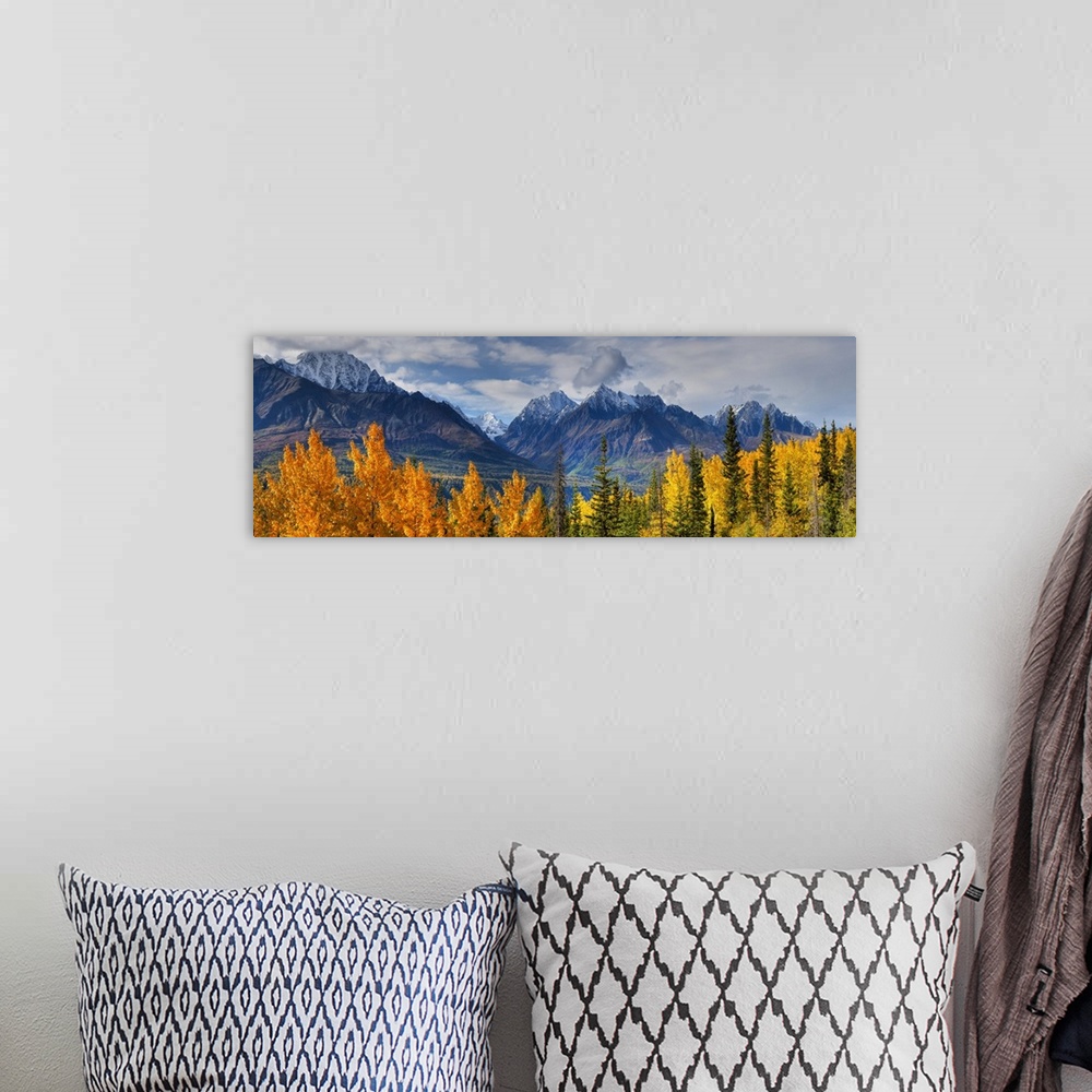 A bohemian room featuring Panoramic View Of The Fall Foliage And Snowcapped Chugach Mountains, Alaska