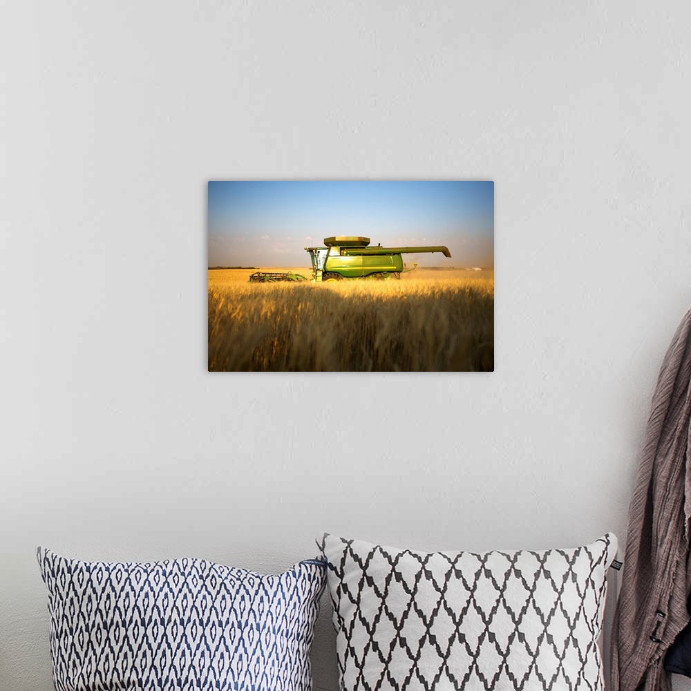 A bohemian room featuring Paplow Harvesting Company custom combines a wheat field, near Ray, North Dakota