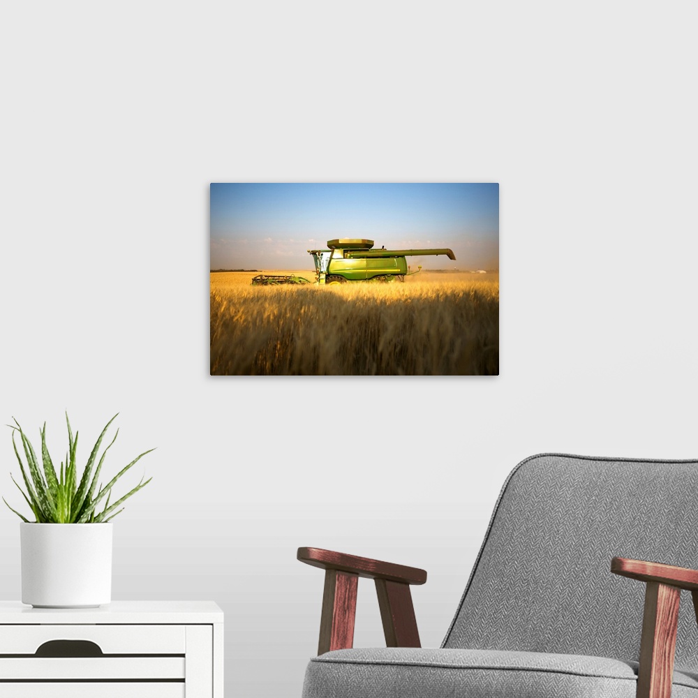 A modern room featuring Paplow Harvesting Company custom combines a wheat field, near Ray, North Dakota