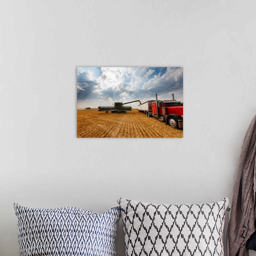 A bohemian room featuring Paplow Harvesting Company custom combines in a wheat field near Ray, North Dakota
