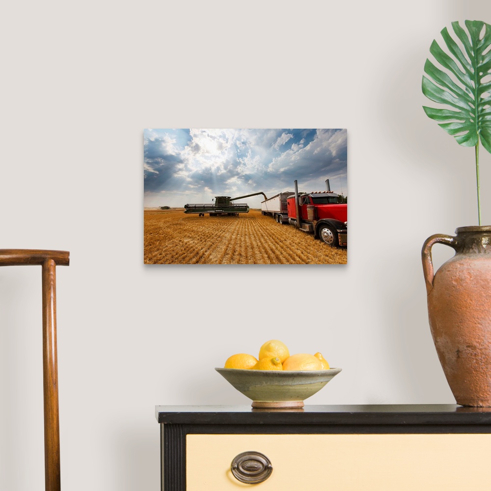 A traditional room featuring Paplow Harvesting Company custom combines in a wheat field near Ray, North Dakota