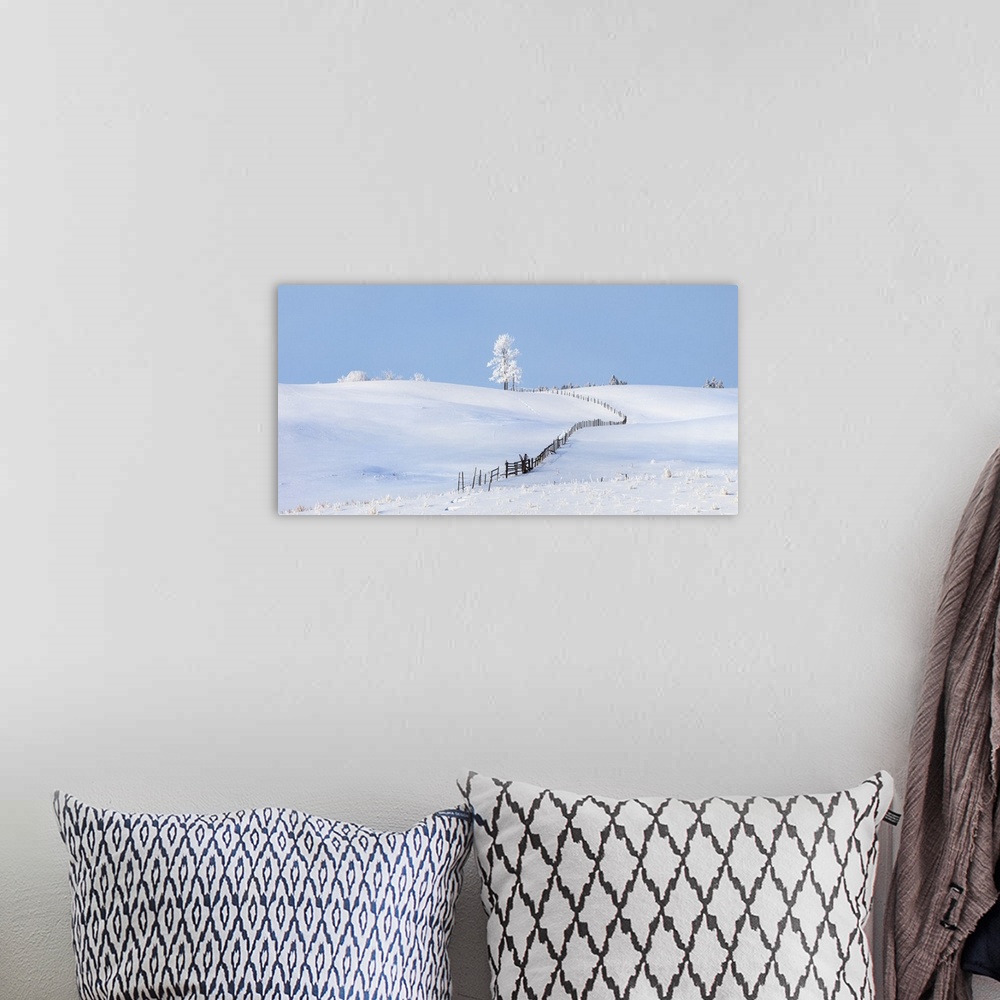 A bohemian room featuring Parkland County, Alberta, Canada, A Tree And Fence In A Snow Covered Field