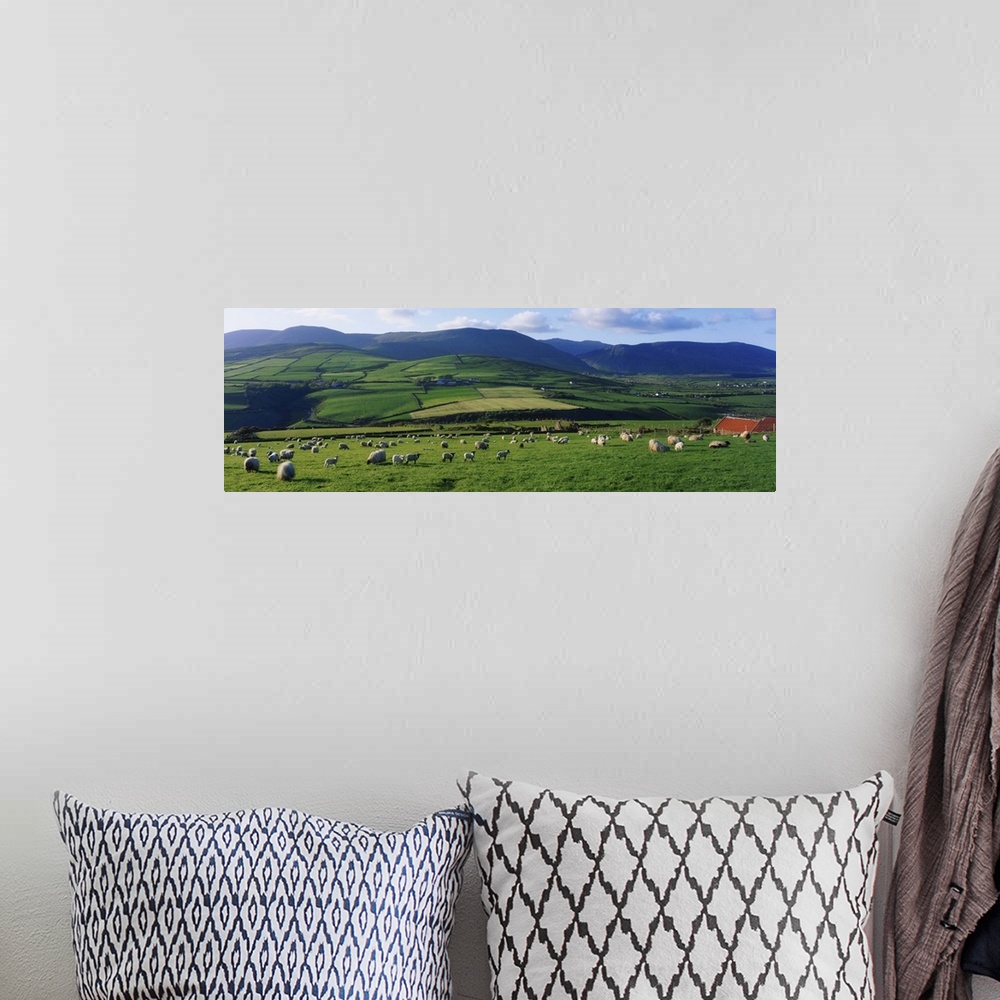 A bohemian room featuring Pastoral Scene Near Anascual, Dingle Peninsula, County Kerry, Ireland