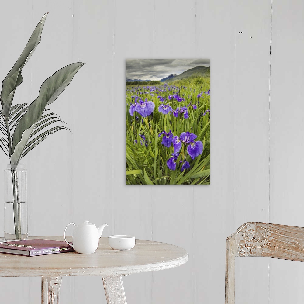 A farmhouse room featuring Patch Of Wild Irises On The Eklutna Flats With A View Of Pioneer Peak