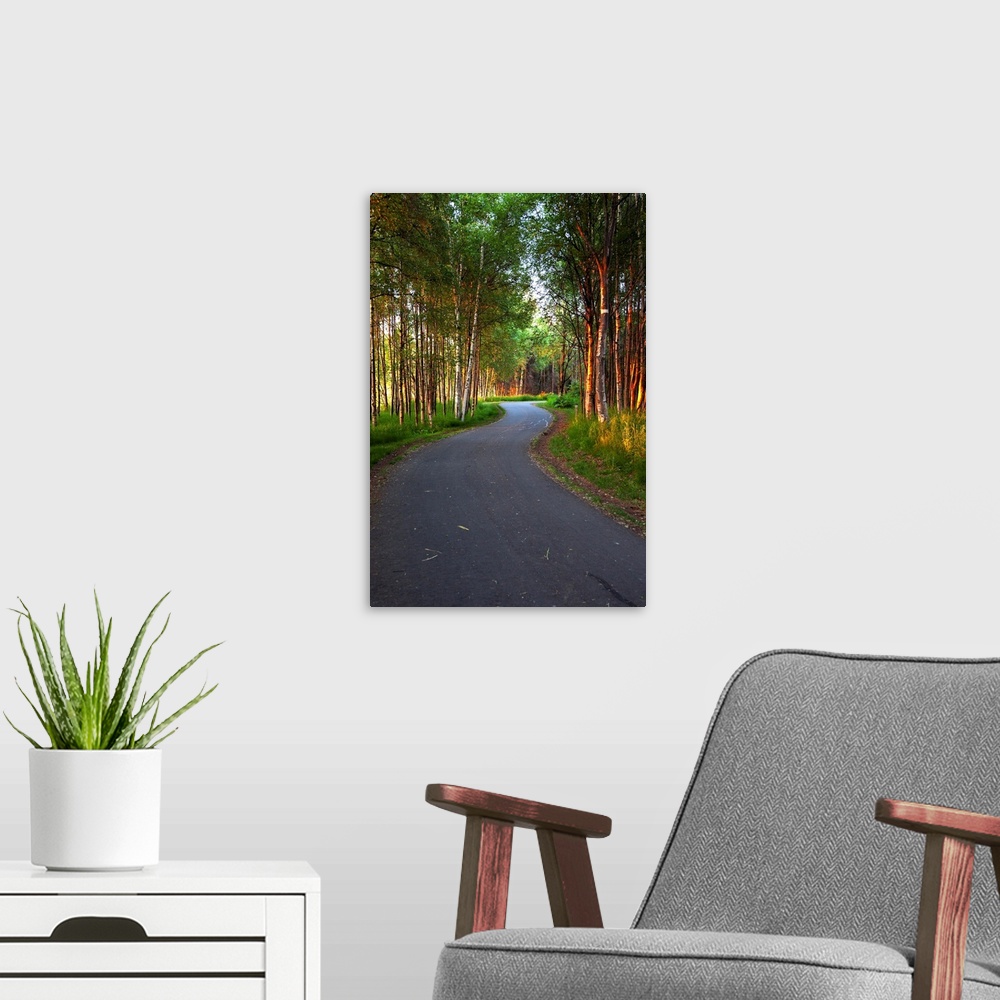 A modern room featuring Paved path winding through the forest, Tony Knowles Coastal Trail, Anchorage, Alaska