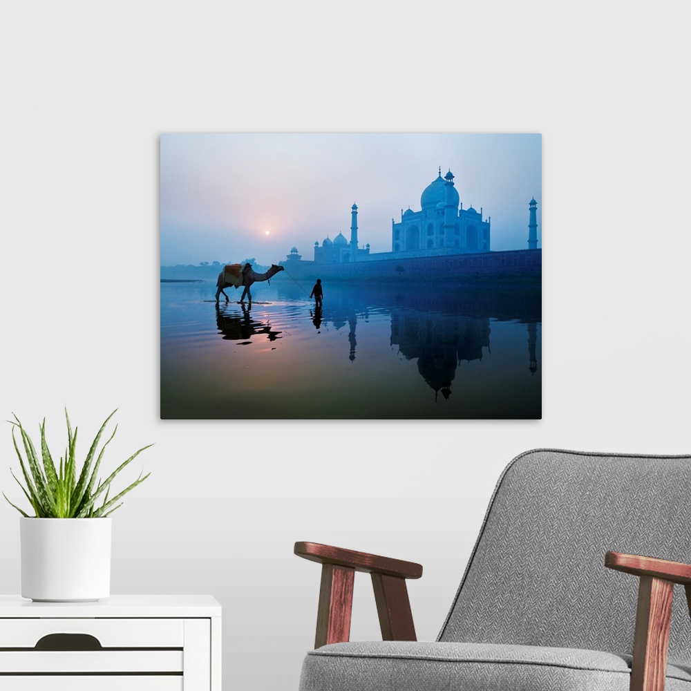 A modern room featuring Person And Camel In Front Of Taj Mahal; Agra, India