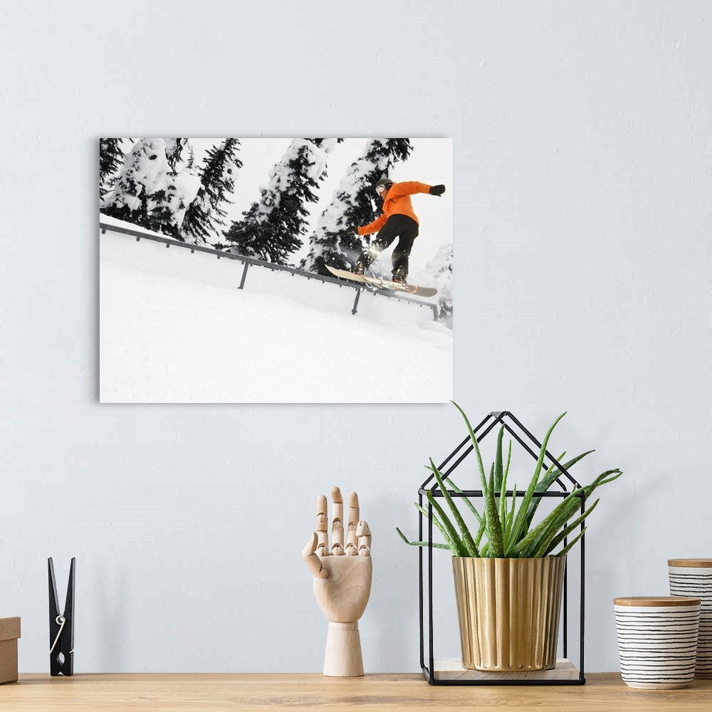 A bohemian room featuring Person Snowboarding On A Railing