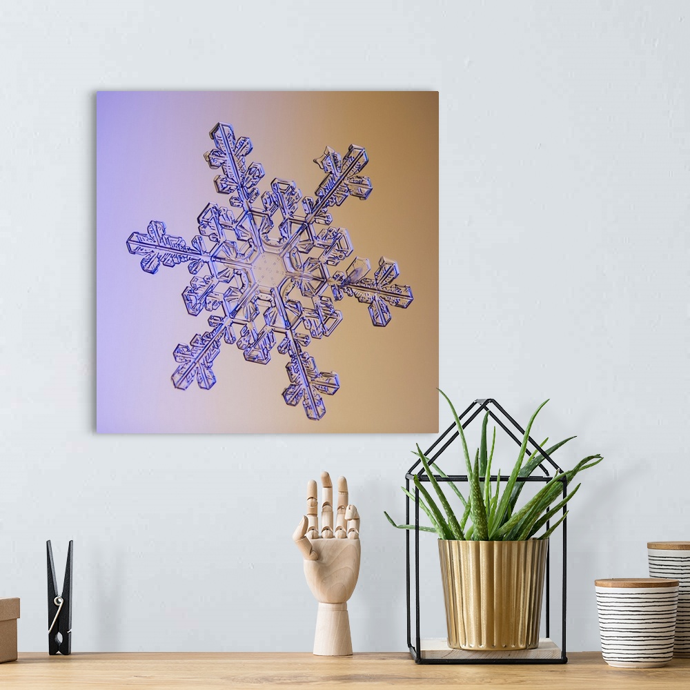 A bohemian room featuring Photomicroscopic close up of a snowflake crystal