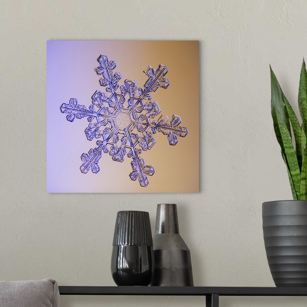 A modern room featuring Photomicroscopic close up of a snowflake crystal